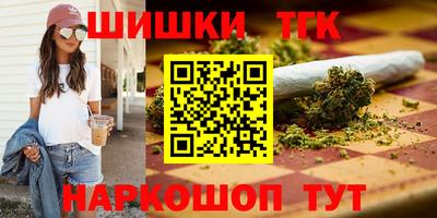 МДПВ Пенза